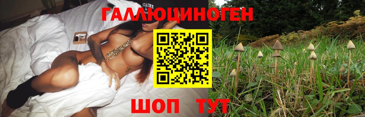 Псилоцибиновые грибы прущие грибы  Псилоцибиновые грибы Magic Shrooms  купить наркоту  Лабинск  Вход с VPN 