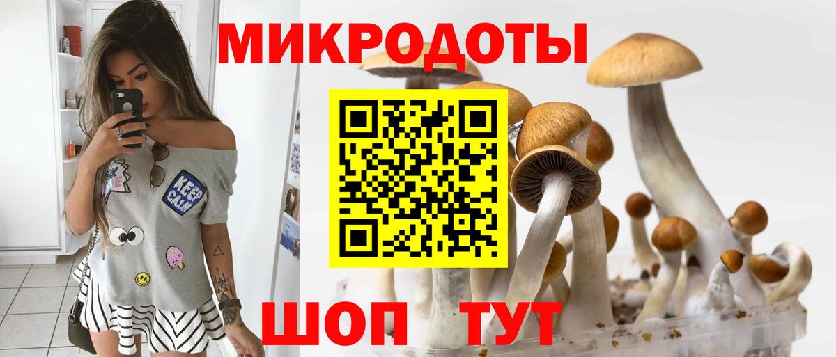 Псилоцибиновые грибы GOLDEN TEACHER Лабинск